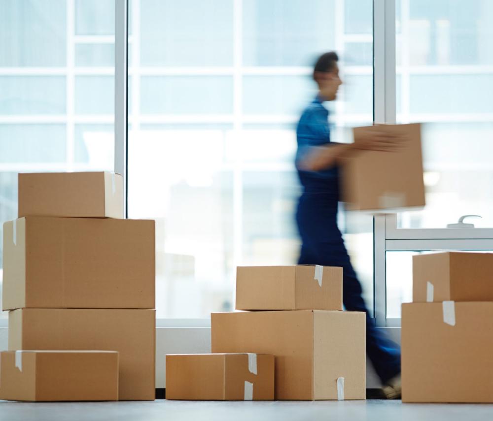 carton - déménagement